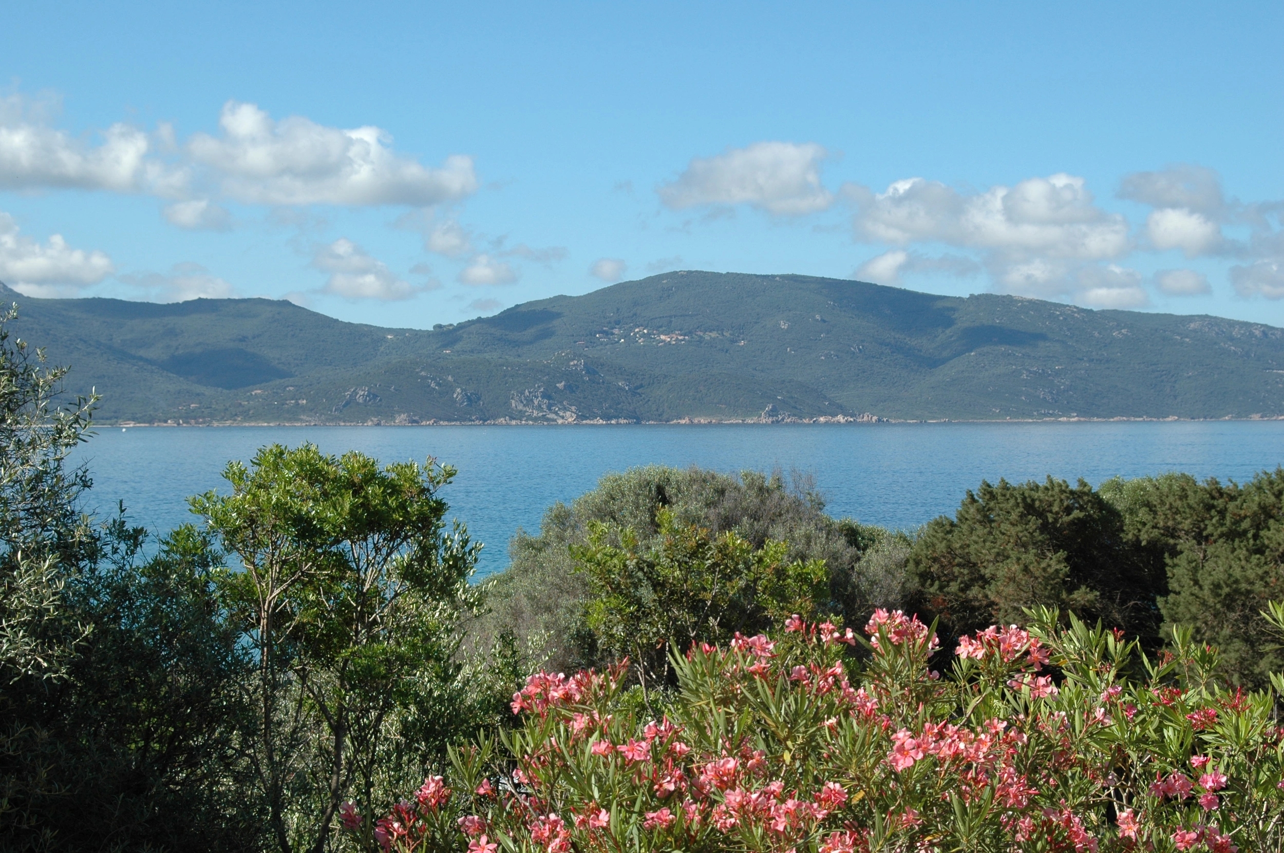 Les services des locations de villa en bord de mer à Propriano